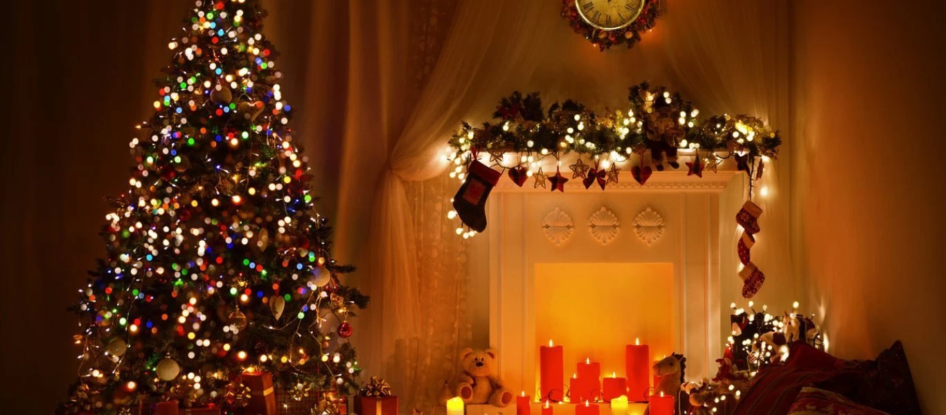 Μέχρι και 25.000 ζωύφια έχει κάθε χριστουγεννιάτικο δέντρο που βάζουμε σπίτι μας!